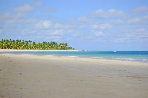 AEROPORTO-MCO/ PRAIA DO GUNGA